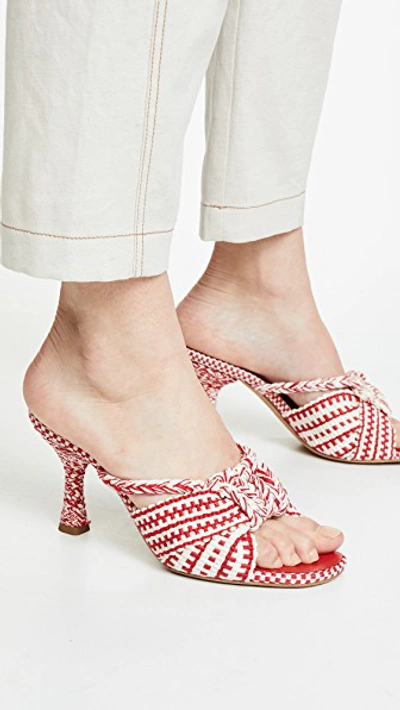 Shop Antolina Bruna Mules In Marfill/rojo