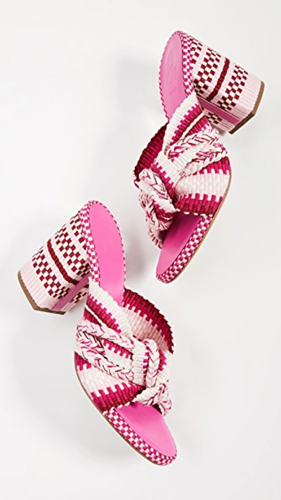 Shop Antolina Biagia Mules In Rosado Multicolor