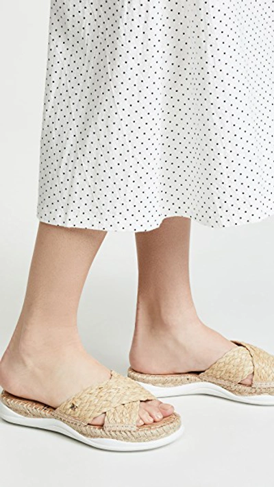 Sam edelman jovie sandal new arrivals