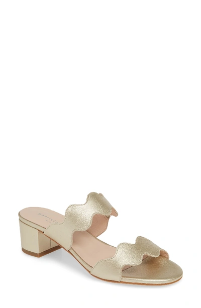 Shop Patricia Green Palm Beach Slide Sandal In Gold Suede