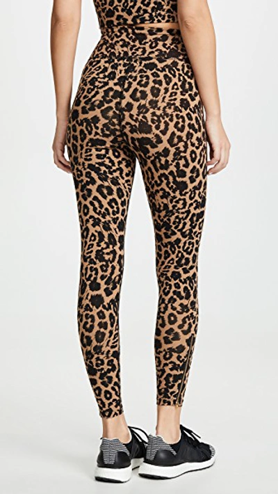 Shop Lna Leopard Zipper Leggings