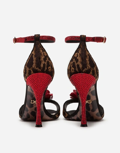 Shop Dolce & Gabbana Sandals In Carpet Stitch With Leopard Embroidery In Leopard Print