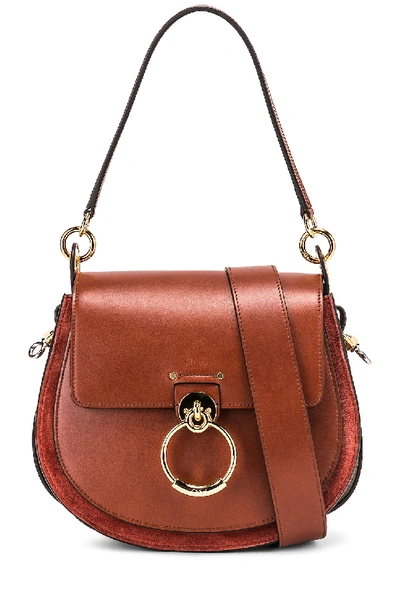 Shop Chloé Chloe Medium Tess Shiny Calfskin Shoulder Bag In Sepia Brown