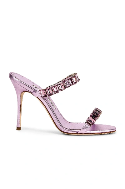 Shop Manolo Blahnik For Fwrd Dallitre 105 Sandal In Light Pink Nappa