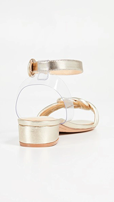 Shop Alexandre Birman Vicky 30mm Sandals In Golden/transparent