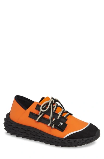 Shop Giuseppe Zanotti Urchin Sneaker In Orange