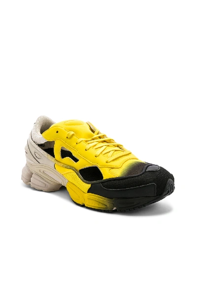 Shop Adidas Originals Adidas By Raf Simons Replicant Ozweego Sneaker In Yellow,neutral,ombre & Tie Dye In Yellow & Black