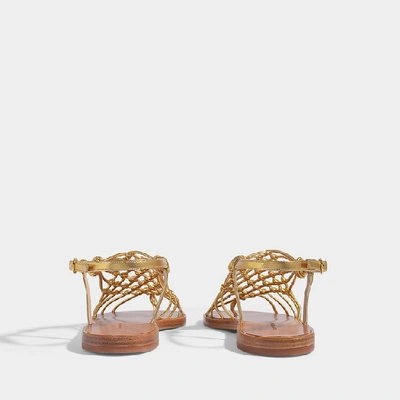 Shop Stuart Weitzman | Seaside Flat Metallic Sandals In Golfden Calfskin