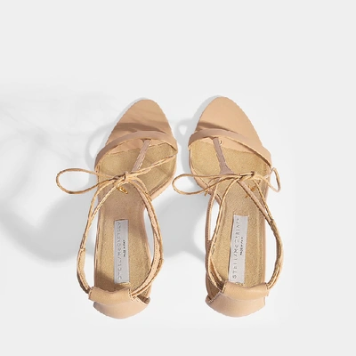 Shop Stella Mccartney | Heeled Sandals In Pink Pvc