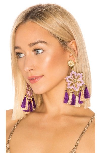 Shop Mercedes Salazar Hibiscus Lila Earrings In Purple. In Lilac