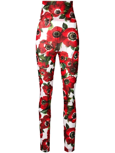 Shop Dolce & Gabbana Floral Print Leggings - Red