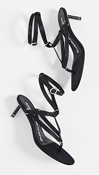 Shop Alexander Wang Kit Sandals In Black