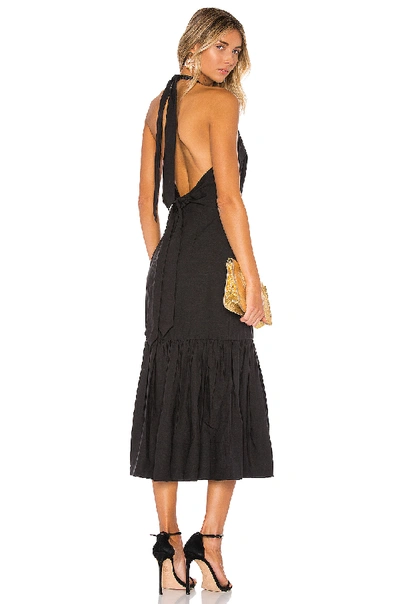 Shop Rebecca Vallance Holiday Halter Dress In Black