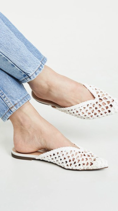 Badria Point Toe Mules