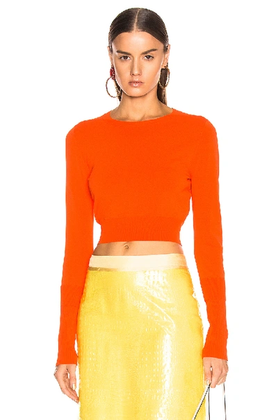 Shop Sies Marjan Gwin Crop Crew Sweater In Orange In Blood Orange