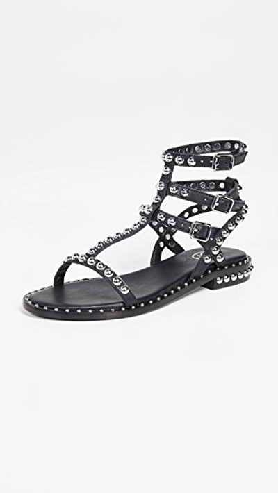 Shop Ash Play Sandals In Black