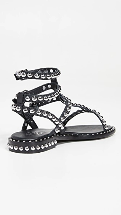 Shop Ash Play Sandals In Black