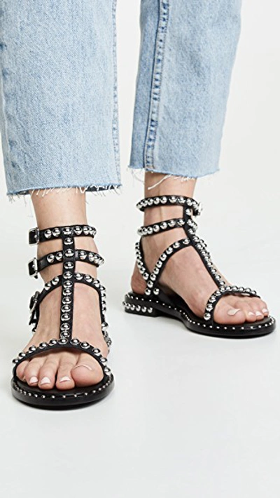 Shop Ash Play Sandals In Black