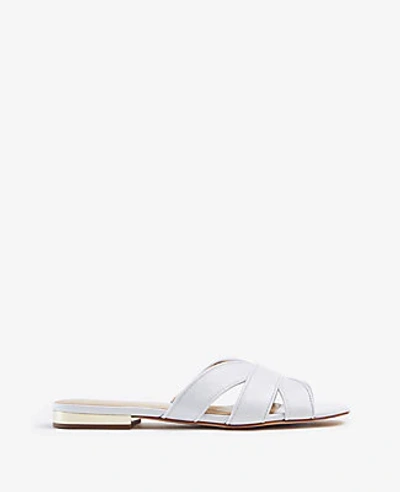 Shop Ann Taylor Virginia Leather Flat Sandals In White