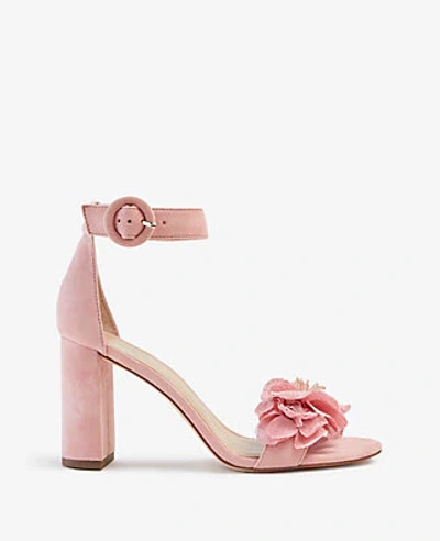 Shop Ann Taylor Leannette Flower Suede Block Heel Sandals In Pink