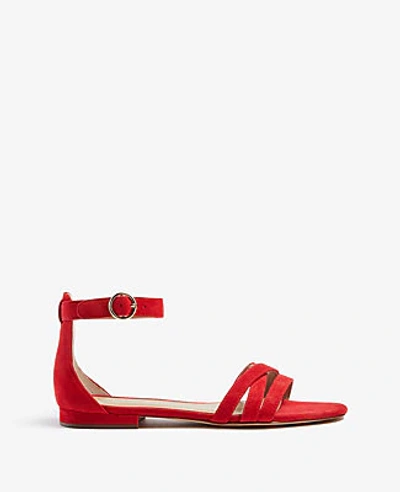 Shop Ann Taylor Karmin Suede Flat Sandals In Red