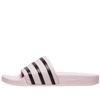 Shop Adidas Originals Adidas Adilette W In Pink