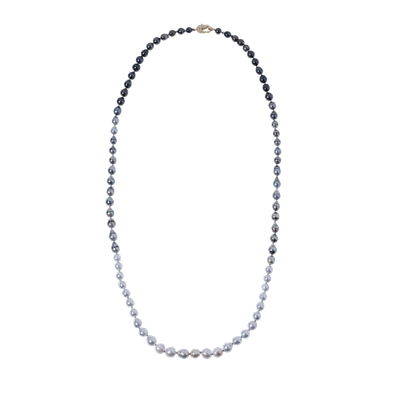 Shop Jordan Alexander Graduate Ombre South Sea And Tahitian Pearl Necklace In Ylwgold