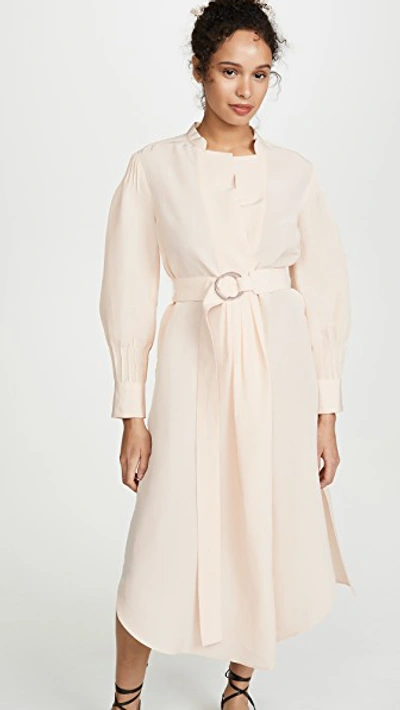 Shop Rachel Comey Allium Dress In Oyster