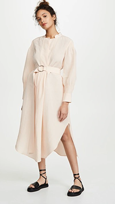 Shop Rachel Comey Allium Dress In Oyster