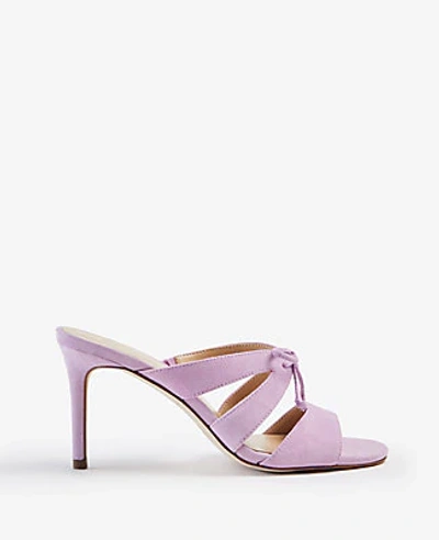 Shop Ann Taylor Mathilda Bow Heeled Suede Sandals In Graceful Lilac