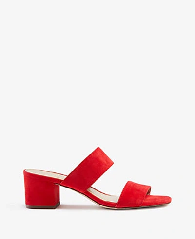 Shop Ann Taylor Liv Suede Block Heel Sandals In Blazing Red