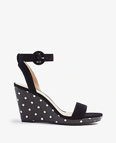 Shop Ann Taylor Amma Polka Dot Wedge Sandals In Black