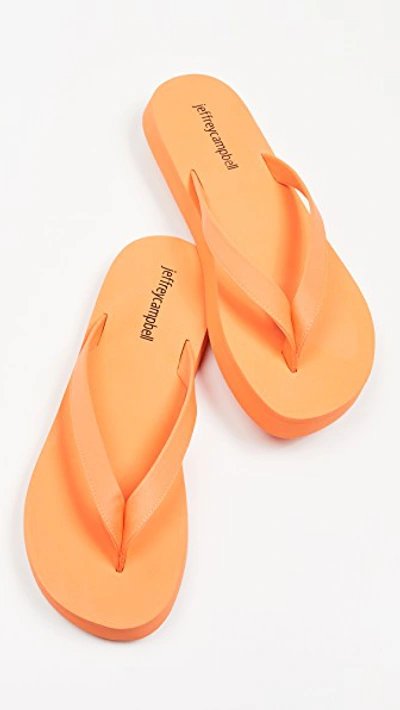 Shop Jeffrey Campbell Surfin Flip Flops In Orange Neon