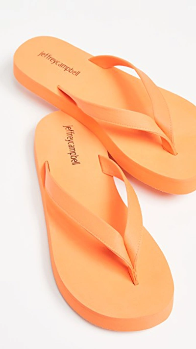 Shop Jeffrey Campbell Surfin Flip Flops In Orange Neon