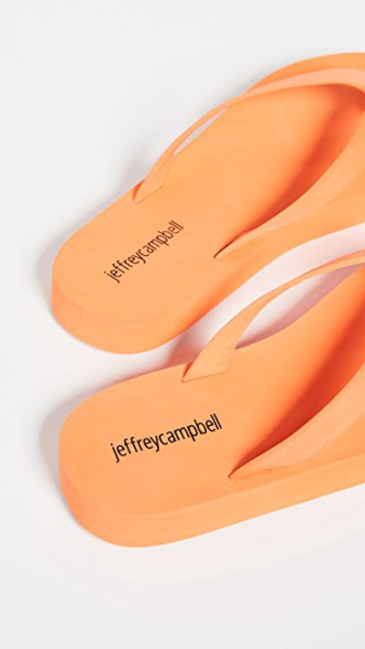 Shop Jeffrey Campbell Surfin Flip Flops In Orange Neon