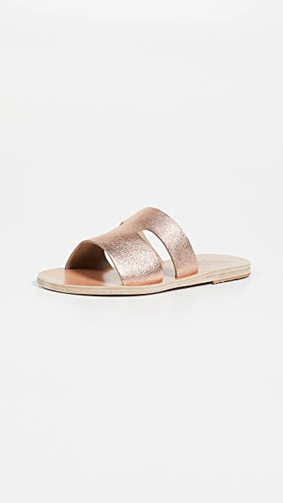 Shop Ancient Greek Sandals Apteros Slide Sandals In Pink Metal/sand