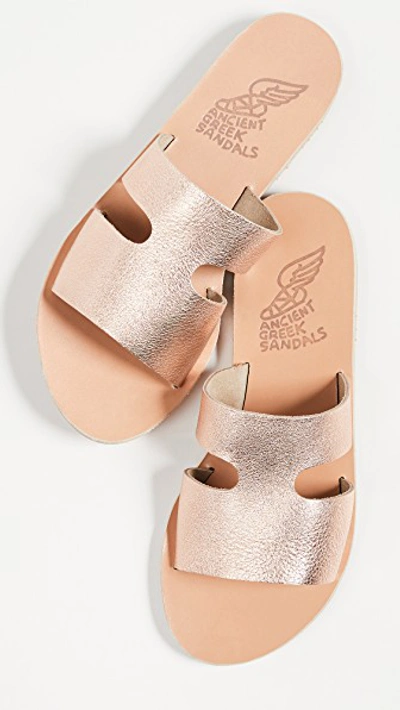 Shop Ancient Greek Sandals Apteros Slide Sandals In Pink Metal/sand