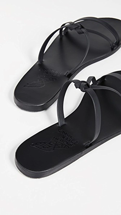 Shop Ancient Greek Sandals Spetses Slides In Black