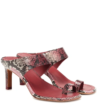 Shop Zimmermann Strap Snake-effect Leather Sandals In Red