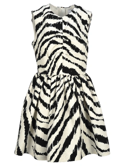 Shop Msgm Zebra Print Mini Dress In Black White