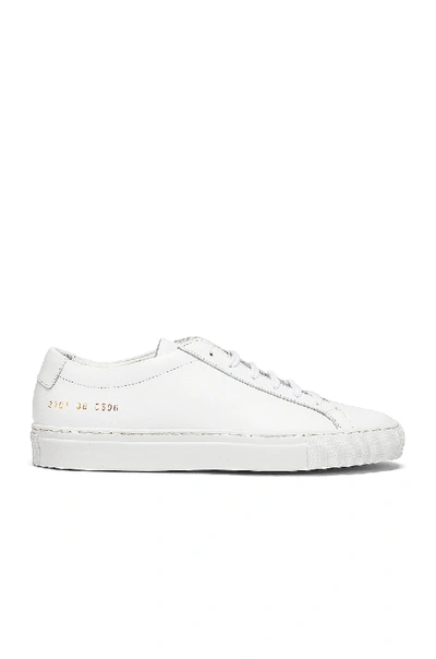 Shop Common Projects Original Achilles Low Sneaker In White