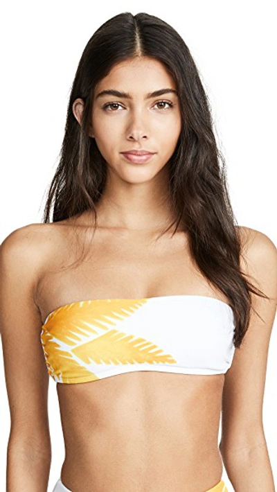 Shop Vix Swimwear Bandeau Bikini Top In Tamarindo