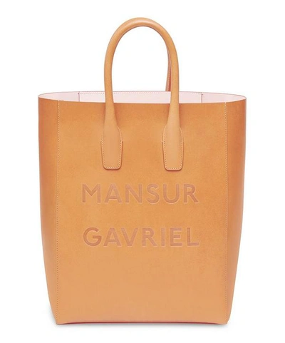 Shop Mansur Gavriel Leather Mini Ns Logo Tote Bag In Brandy/avion