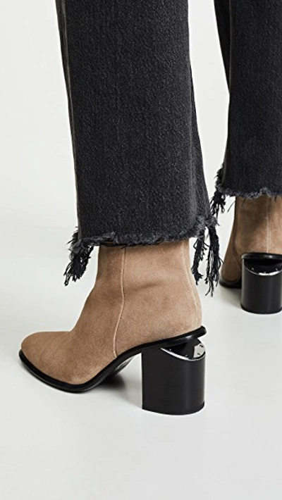 Shop Alexander Wang Anna Booties In Tan