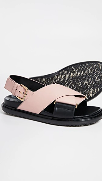 Shop Marni Fussbett Sandals In Quartz/black