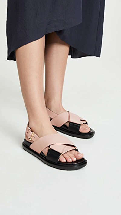 Shop Marni Fussbett Sandals In Quartz/black
