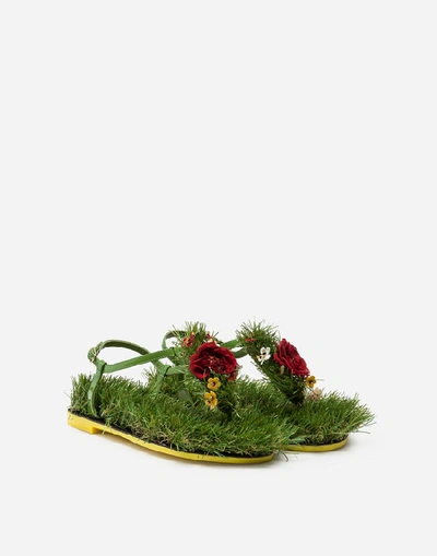 Shop Dolce & Gabbana Thong Sandals In Mixed Materials With Embroideries In Green