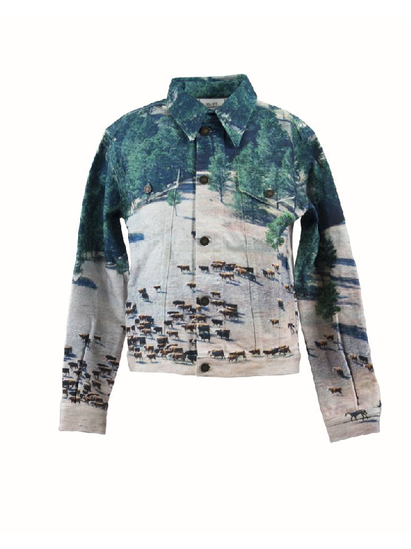 calvin klein landscape jacket
