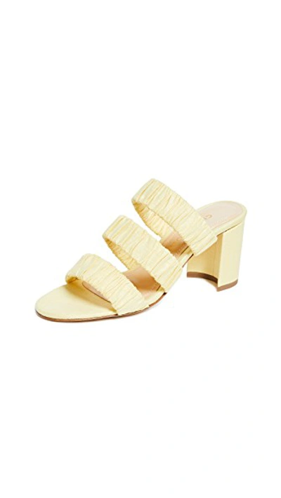 Shop Chloe Gosselin 70mm Delphinium Slide Sandals In Lemon
