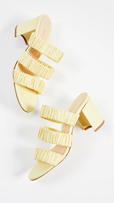 Shop Chloe Gosselin 70mm Delphinium Slide Sandals In Lemon